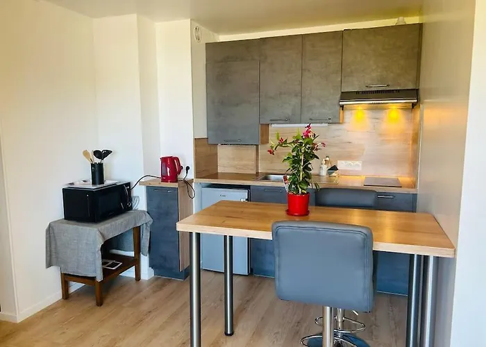 Bel Appartement Coeur De Vannes